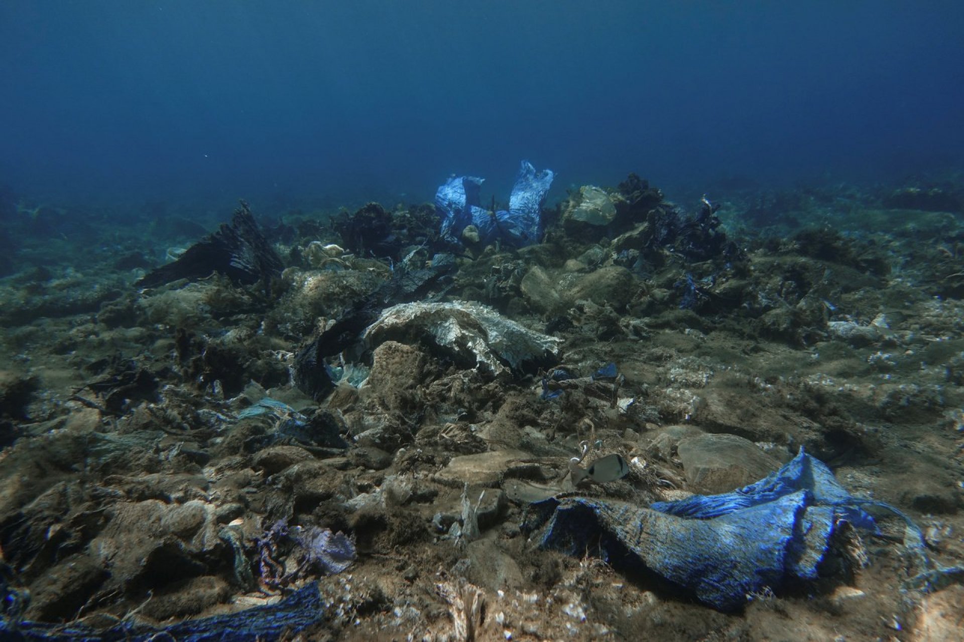 保護13萬公里海岸線 希臘明年起禁用免洗塑膠產品